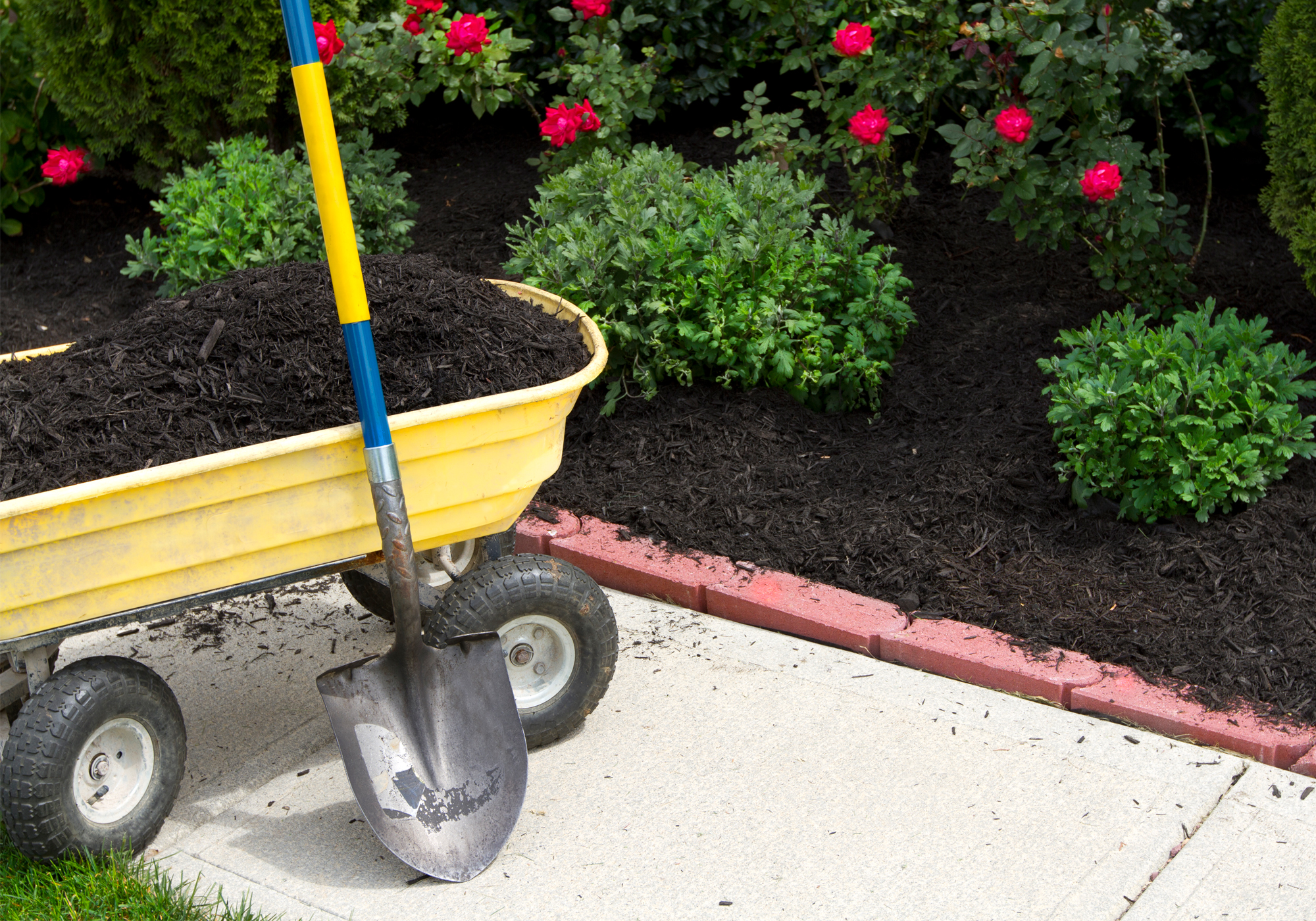BFN_2000x1400_Mulch_3443